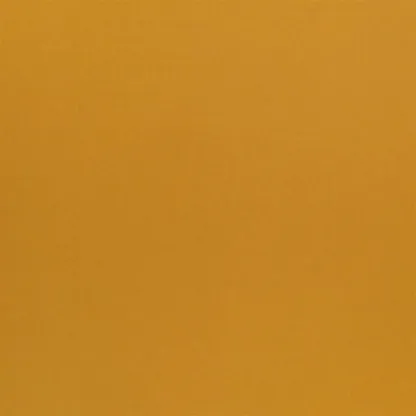Brancusi - Mango