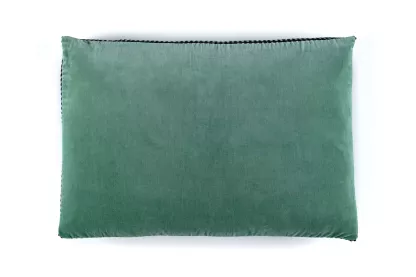 Fin de série Elitis coussins ATHENA Aloe vera