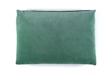 Fin de série Elitis coussins ATHENA Aloe vera