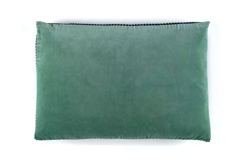 Fin de série Elitis coussins ATHENA Aloe vera