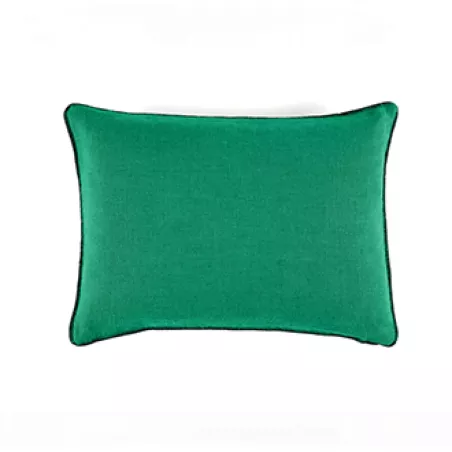 Fin de série Elitis coussins AYA Basilic