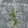 Papier peint - Designers Guild Saru - Granite | Susty