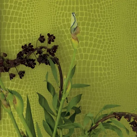 Papier peint - Designers Guild Pietra - Grass | Susty